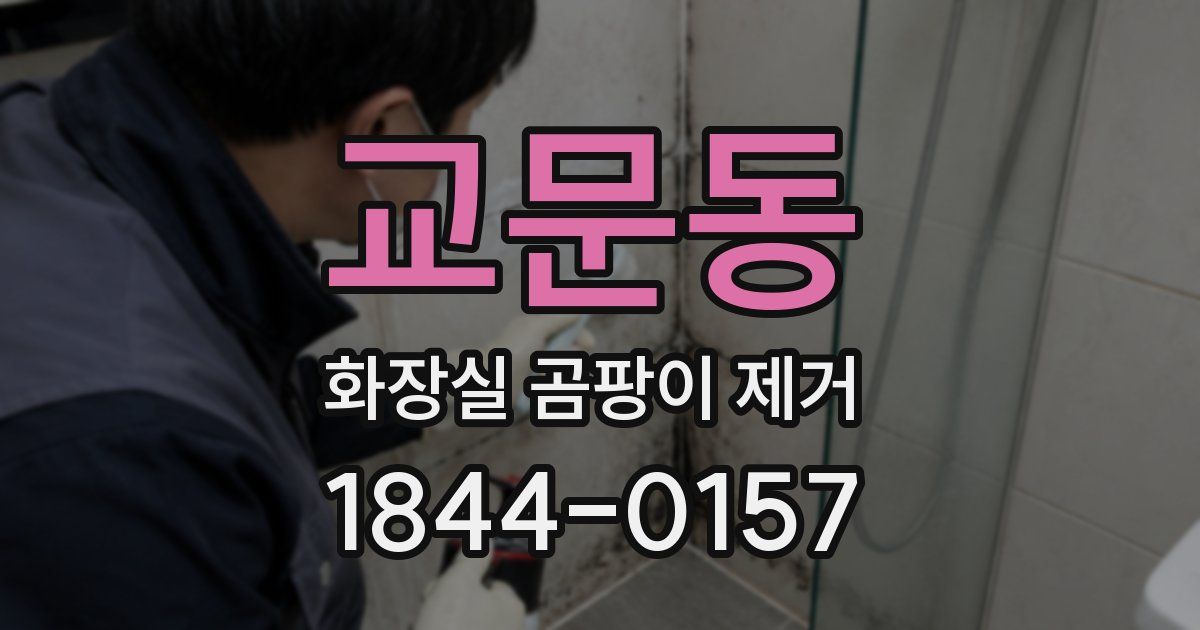 교문동 화장실 곰팡이 제거