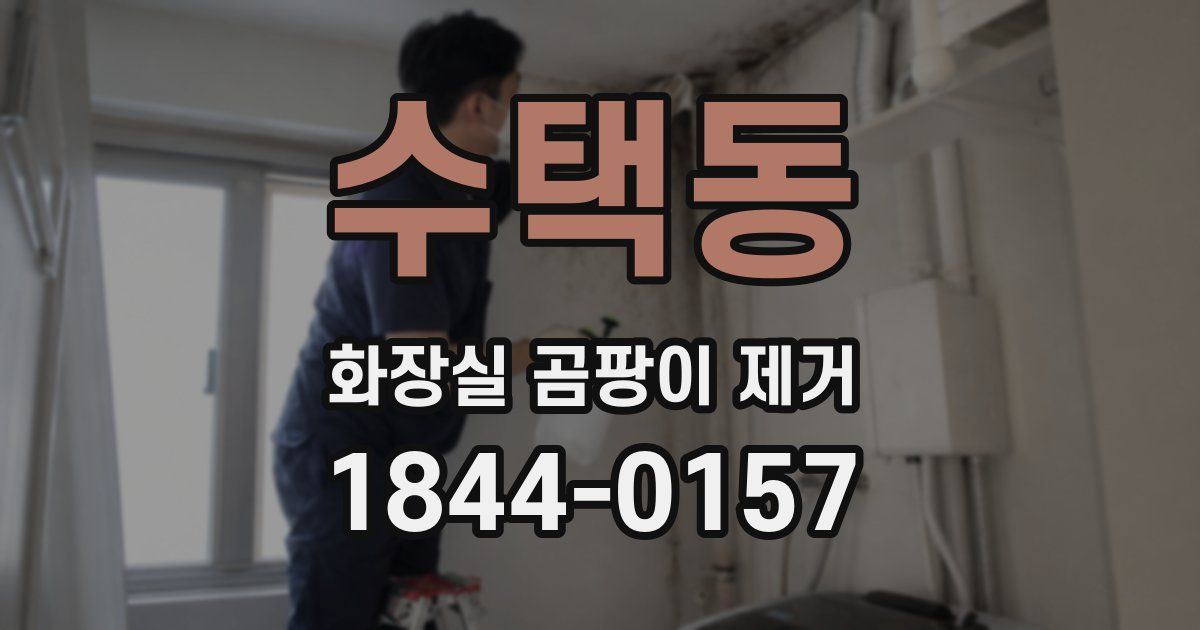 수택동 화장실 곰팡이 제거
