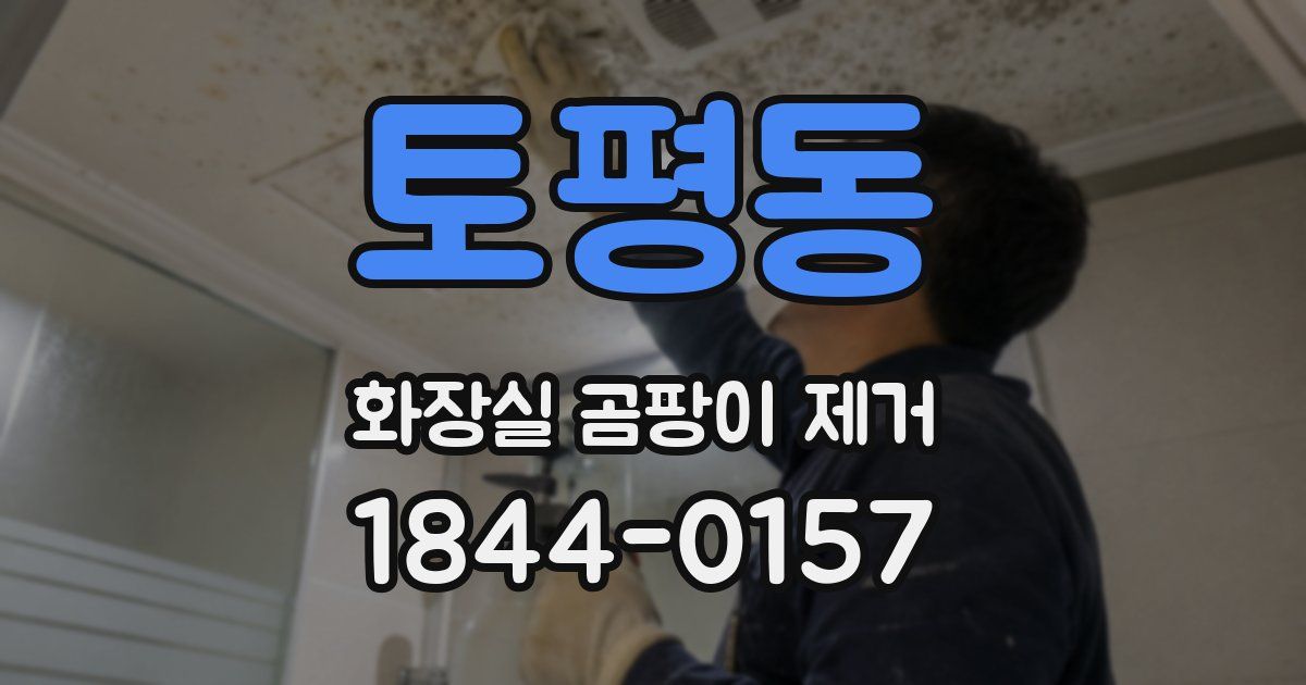 토평동 화장실 곰팡이 제거