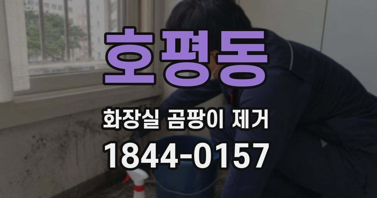 호평동 화장실 곰팡이 제거