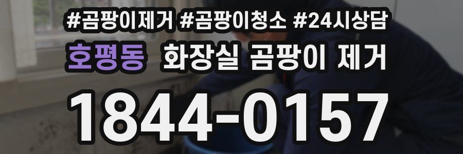 호평동 화장실 곰팡이 제거