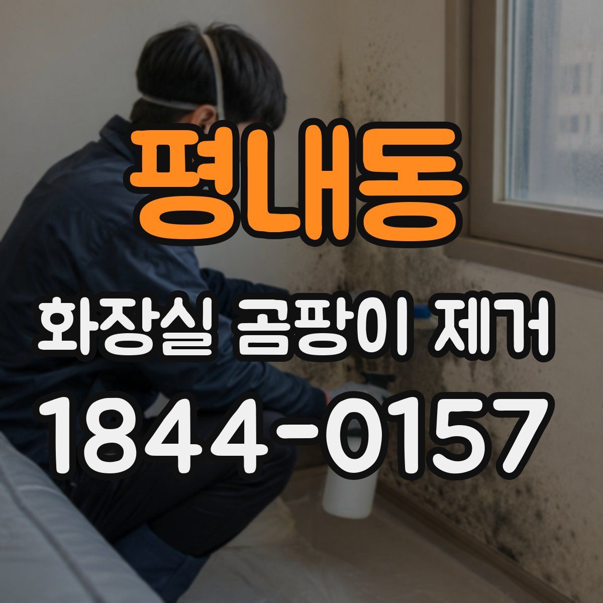 평내동 화장실 곰팡이 제거