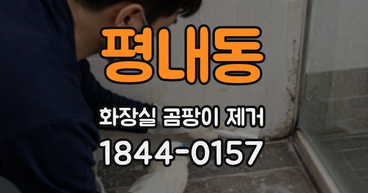 평내동 화장실 곰팡이 제거