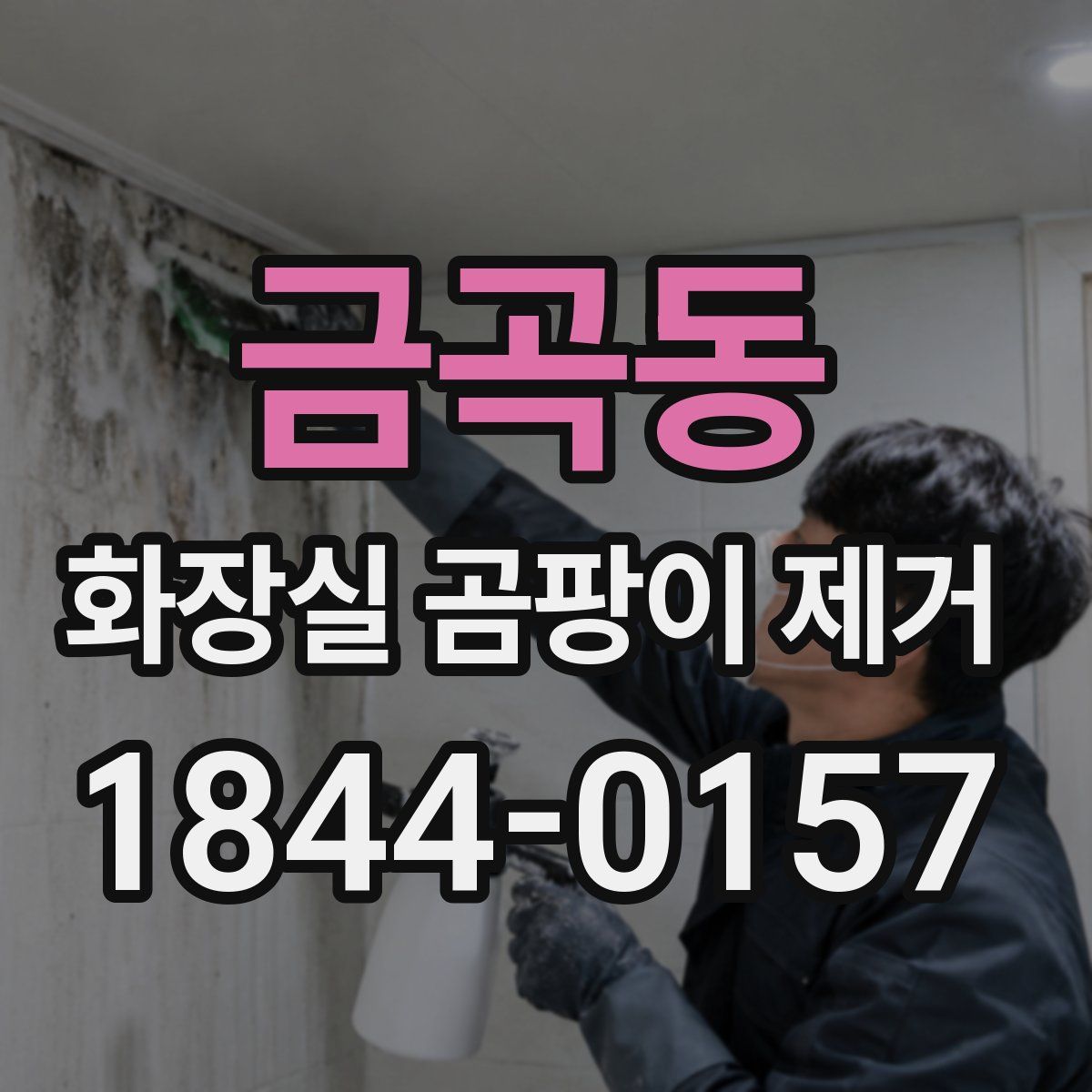 금곡동 화장실 곰팡이 제거