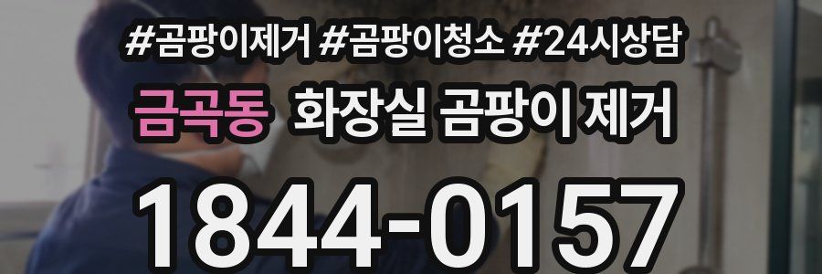 금곡동 화장실 곰팡이 제거