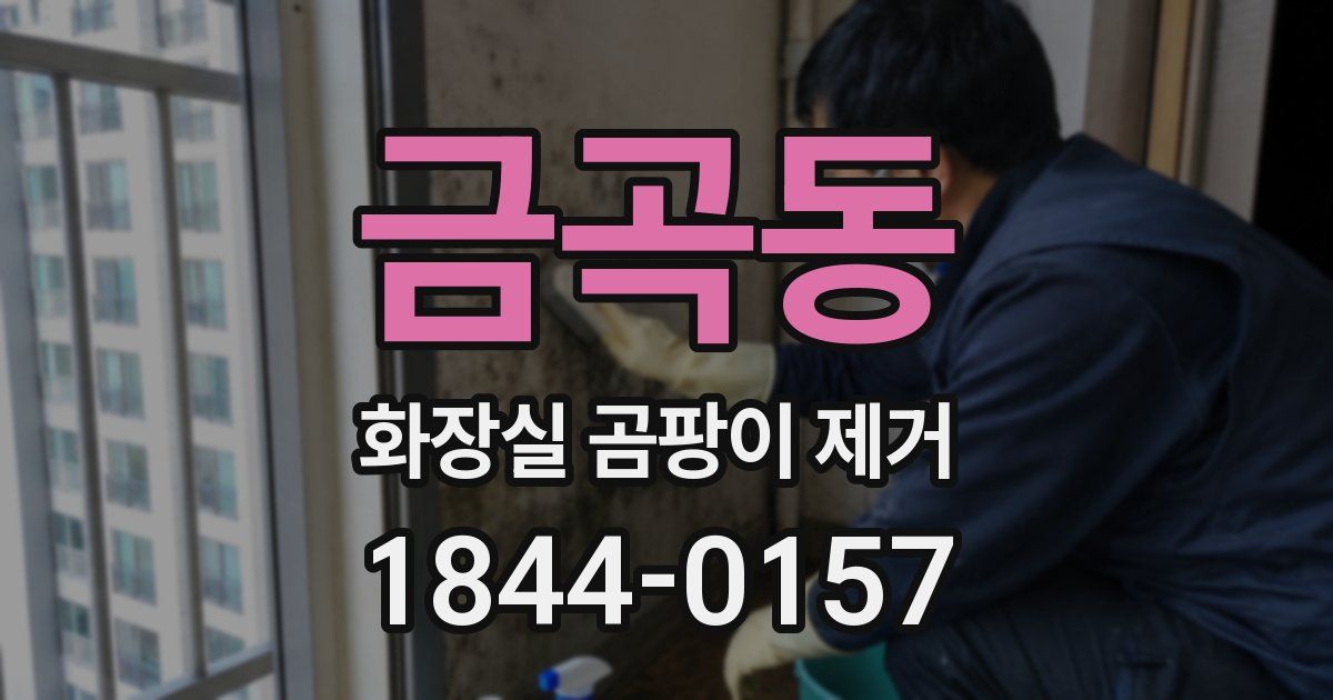 금곡동 화장실 곰팡이 제거