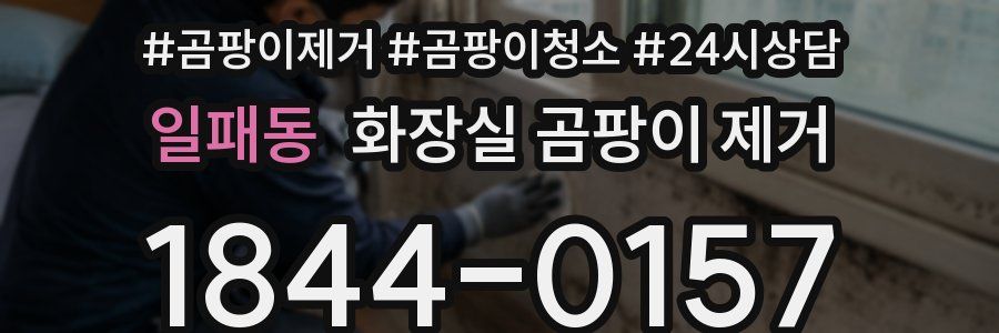 일패동 화장실 곰팡이 제거