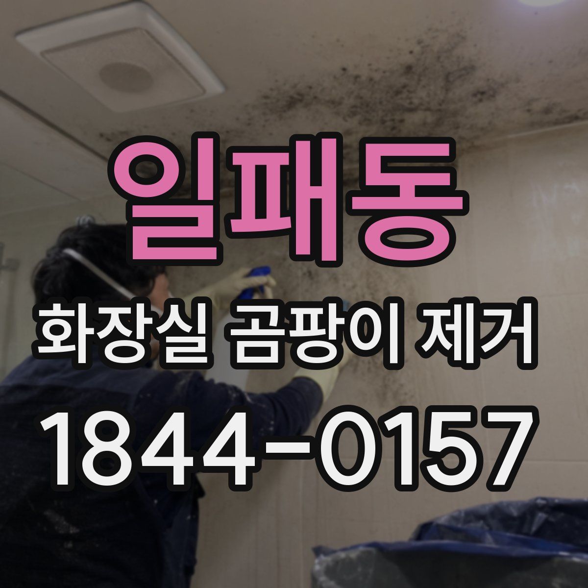 일패동 화장실 곰팡이 제거