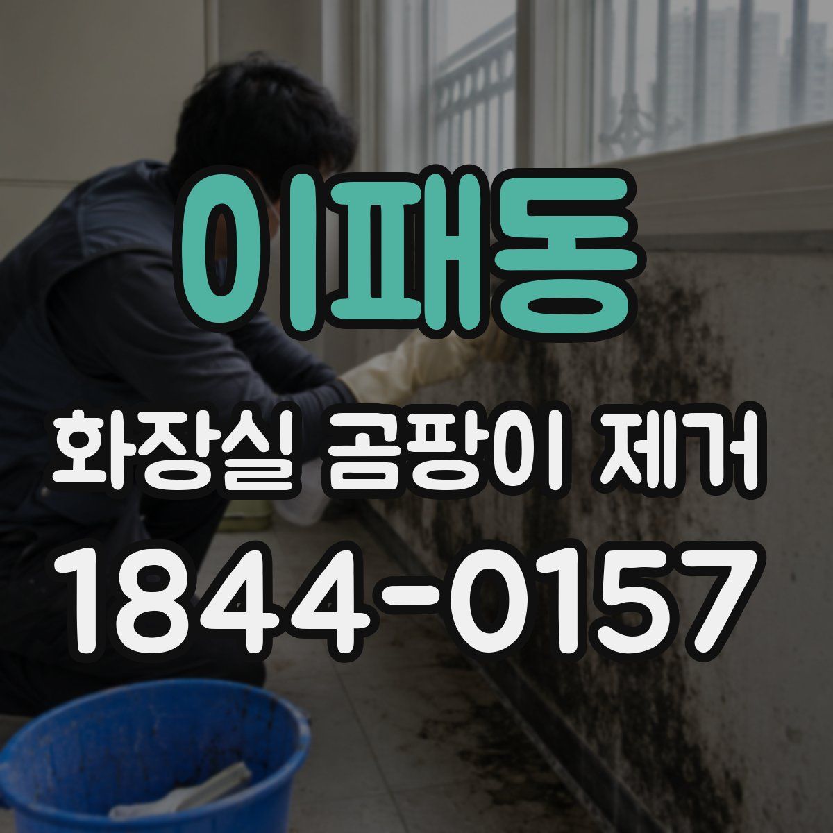 이패동 화장실 곰팡이 제거