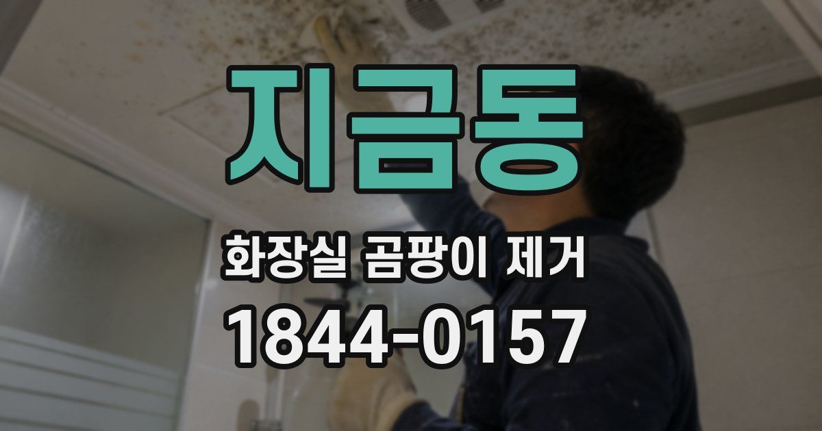 지금동 화장실 곰팡이 제거
