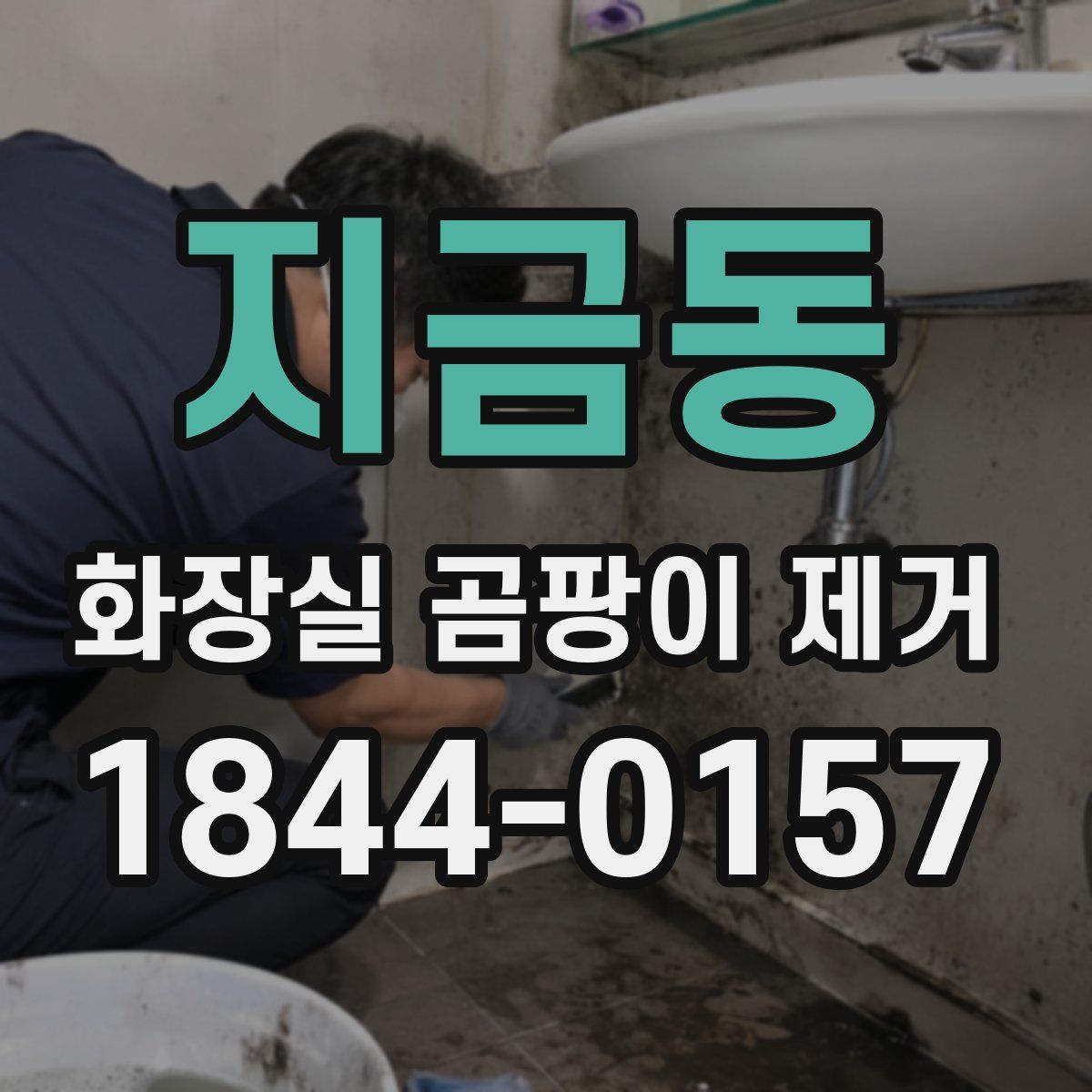 지금동 화장실 곰팡이 제거