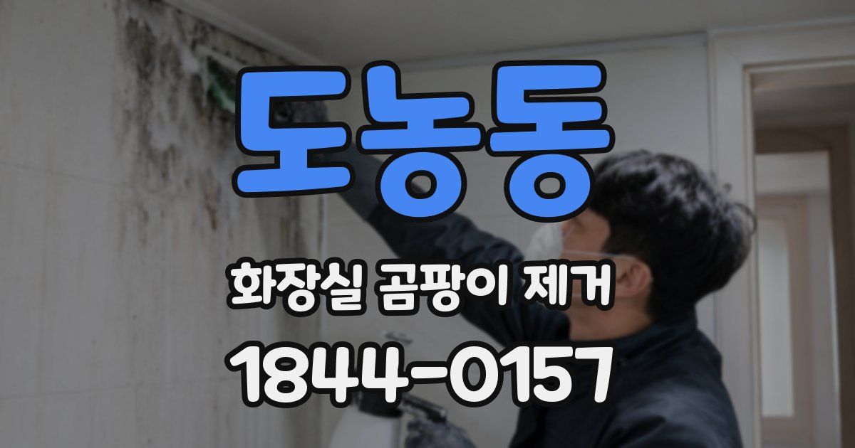 도농동 화장실 곰팡이 제거