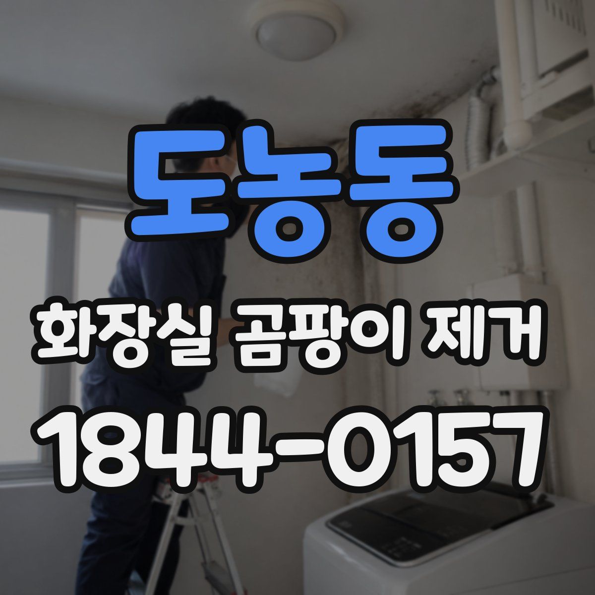 도농동 화장실 곰팡이 제거