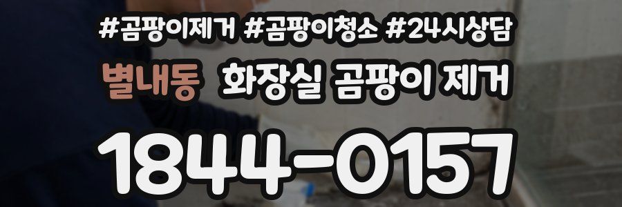 별내동 화장실 곰팡이 제거