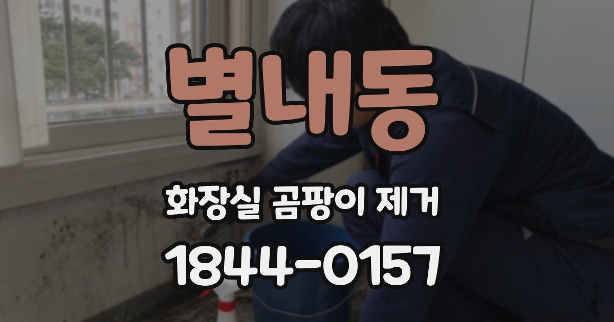 별내동 화장실 곰팡이 제거