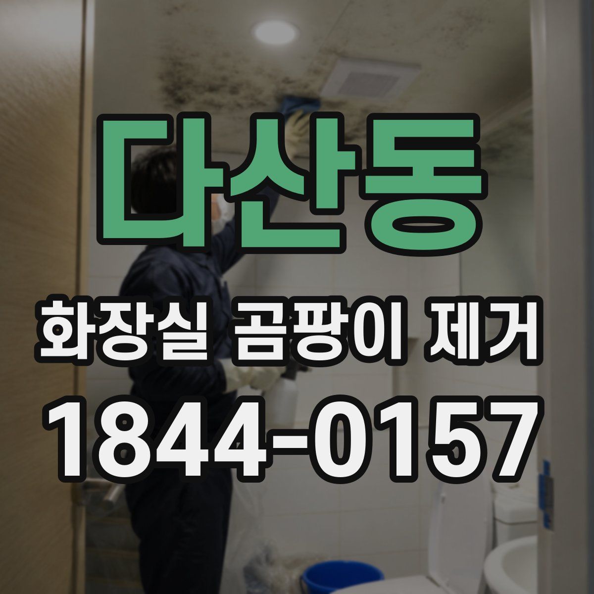 다산동 화장실 곰팡이 제거