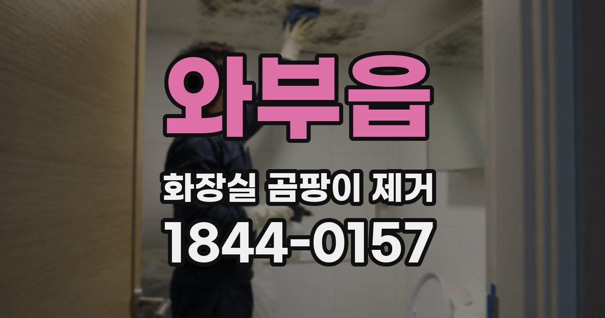 와부읍 화장실 곰팡이 제거