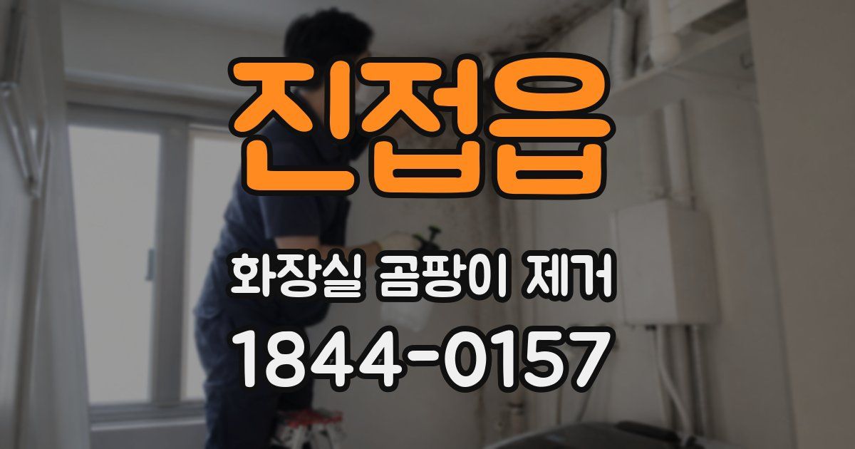 진접읍 화장실 곰팡이 제거