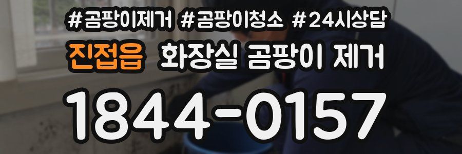 진접읍 화장실 곰팡이 제거