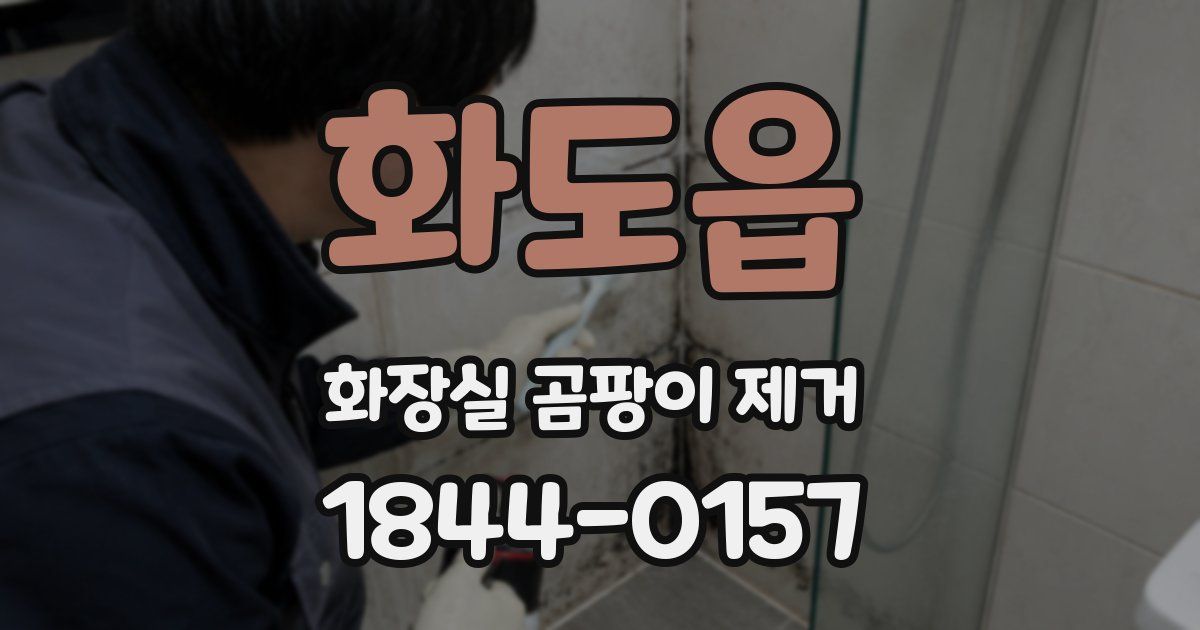 화도읍 화장실 곰팡이 제거