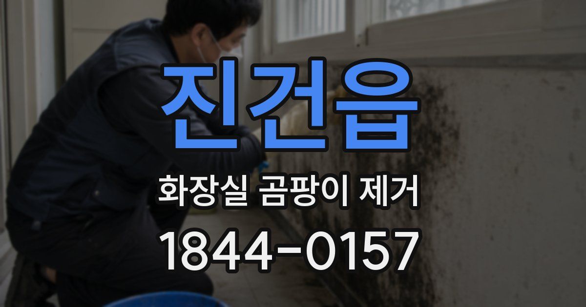 진건읍 화장실 곰팡이 제거