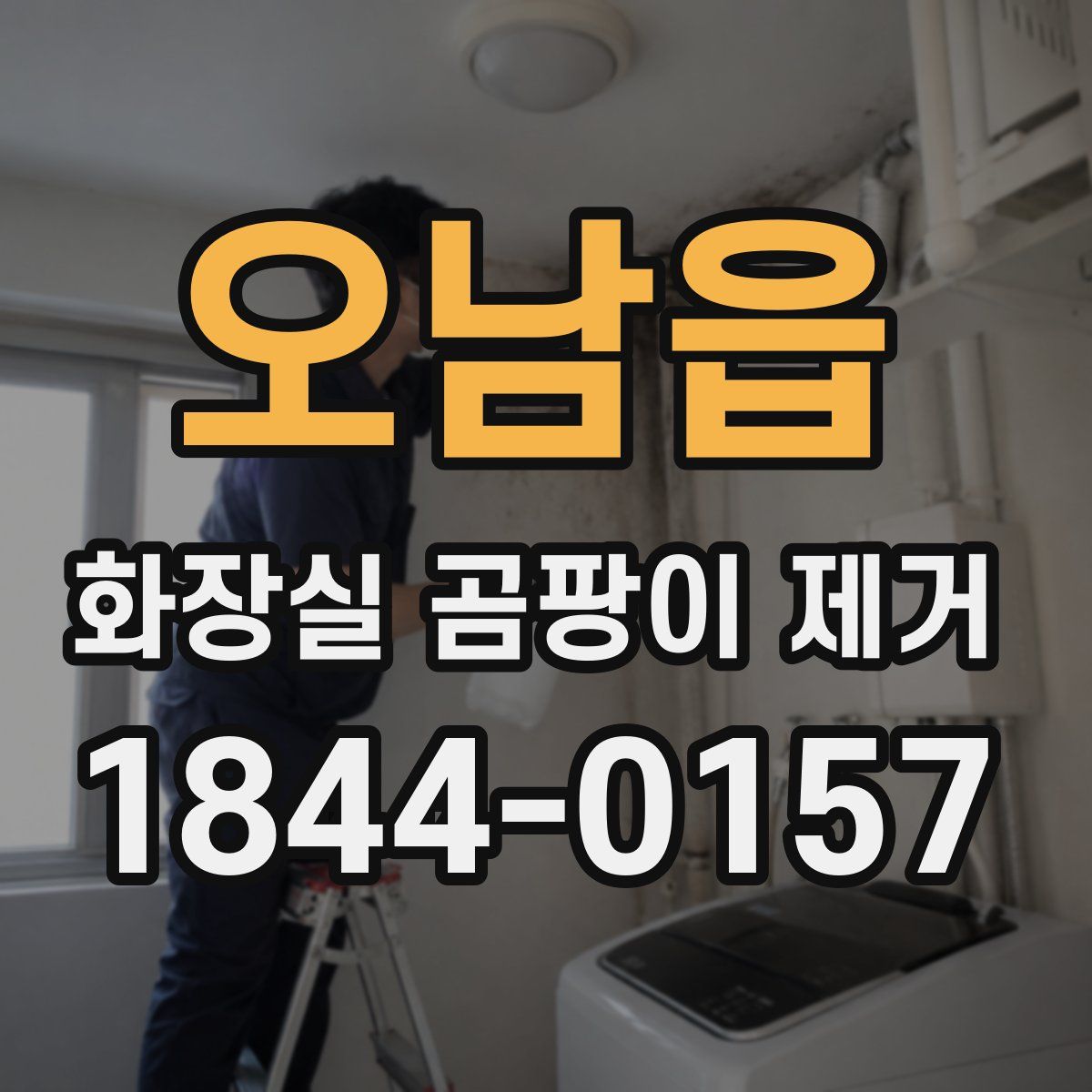 오남읍 화장실 곰팡이 제거