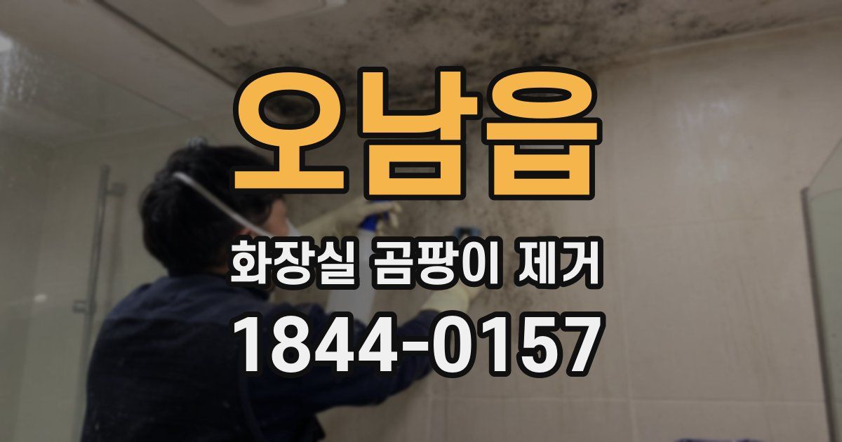 오남읍 화장실 곰팡이 제거