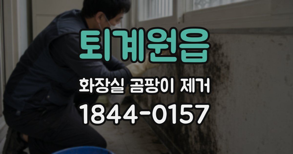 퇴계원읍 화장실 곰팡이 제거