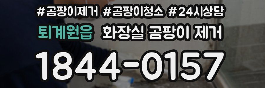퇴계원읍 화장실 곰팡이 제거