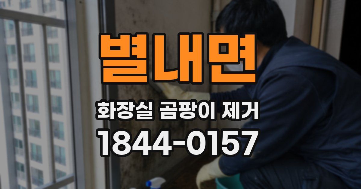 별내면 화장실 곰팡이 제거