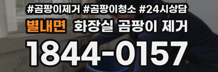 별내면 화장실 곰팡이 제거