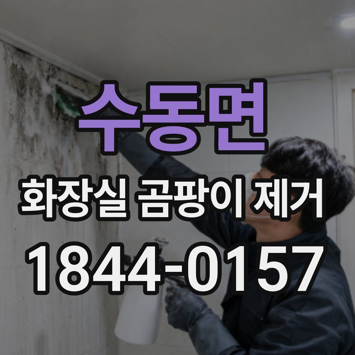 수동면 화장실 곰팡이 제거