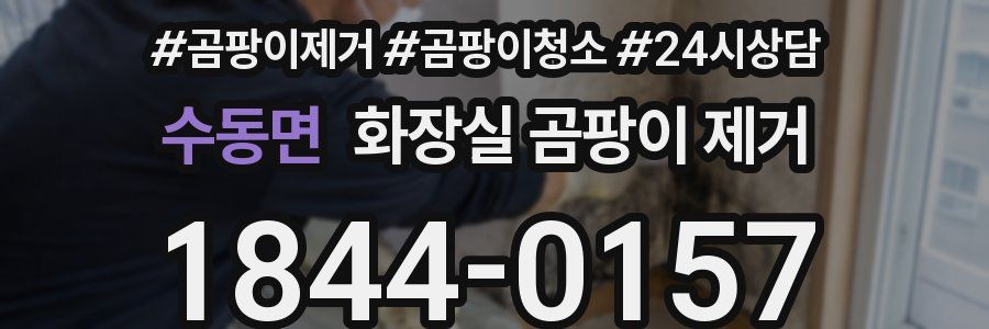 수동면 화장실 곰팡이 제거