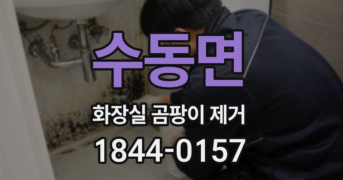 수동면 화장실 곰팡이 제거