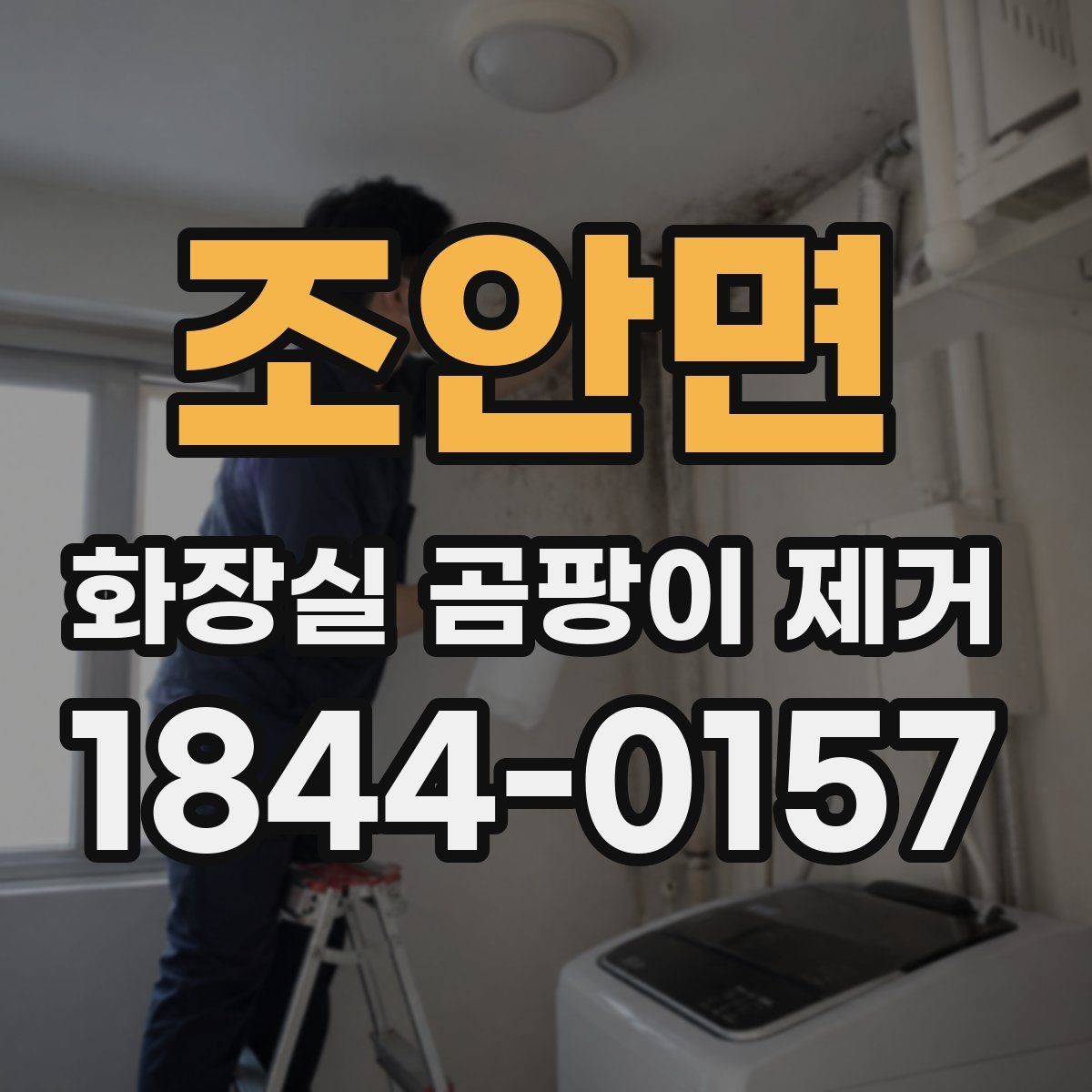 조안면 화장실 곰팡이 제거 환기와 건조 시간을 함께 조절하는 법