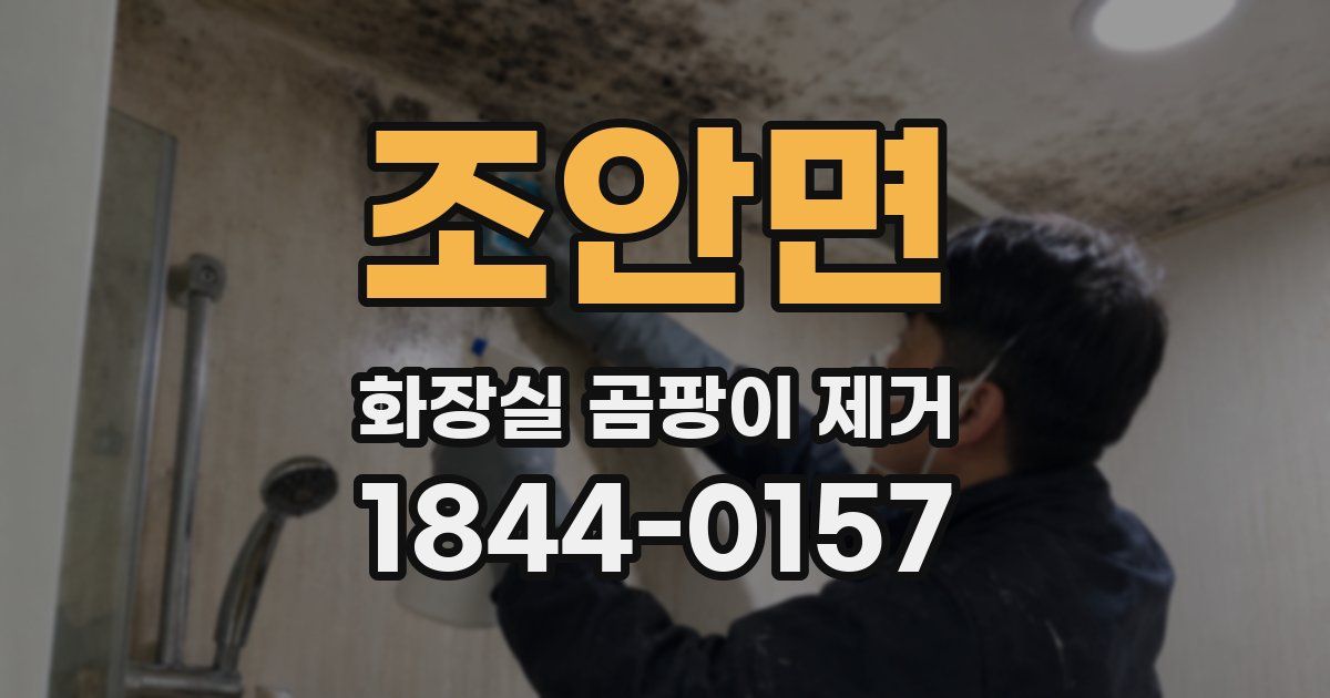 조안면 화장실 곰팡이 제거