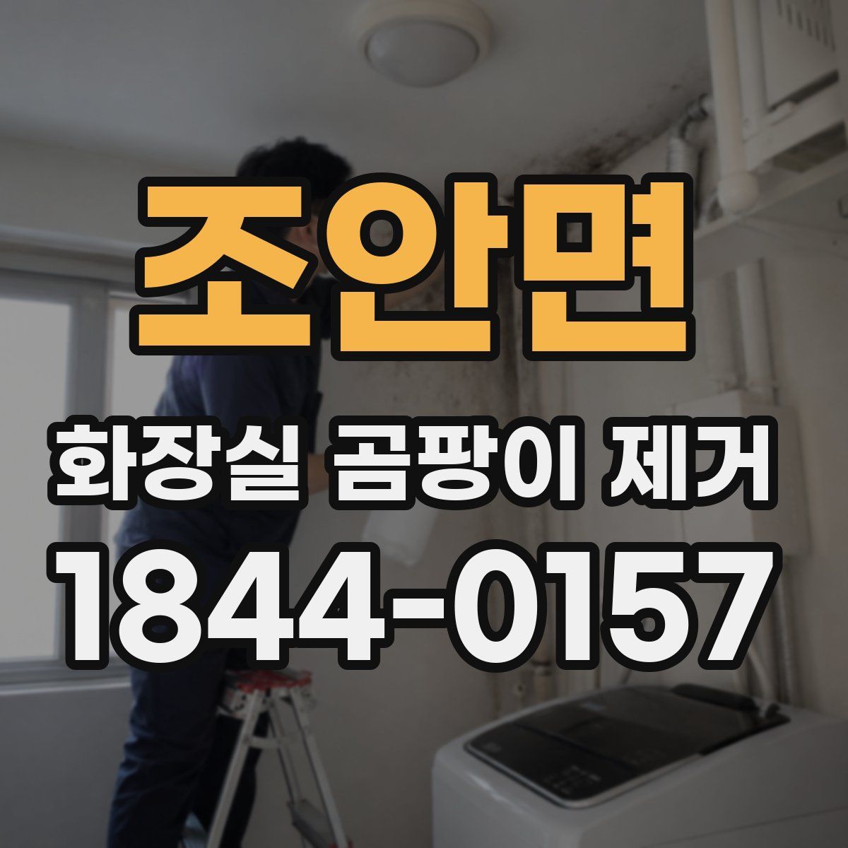 조안면 화장실 곰팡이 제거