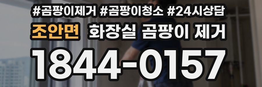조안면 화장실 곰팡이 제거