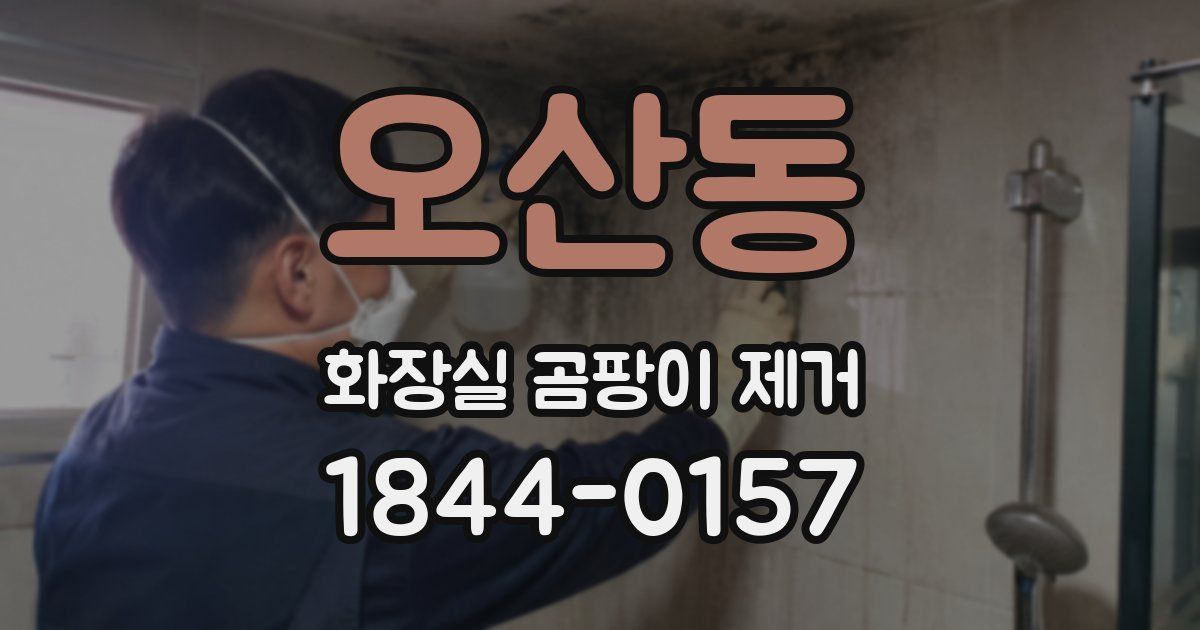 오산동 화장실 곰팡이 제거