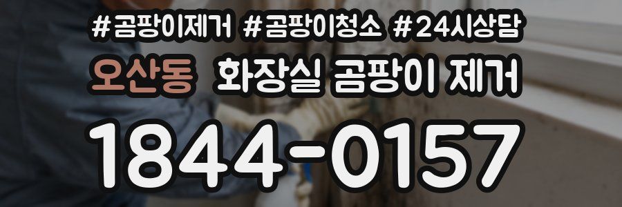 오산동 화장실 곰팡이 제거