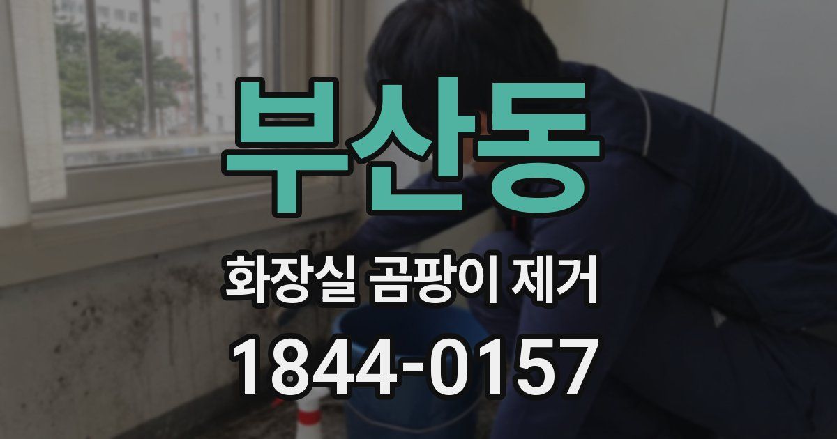 부산동 화장실 곰팡이 제거