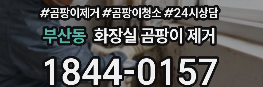 부산동 화장실 곰팡이 제거