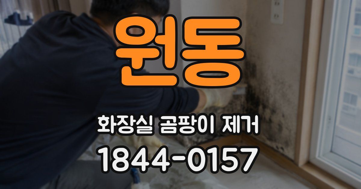 원동 화장실 곰팡이 제거