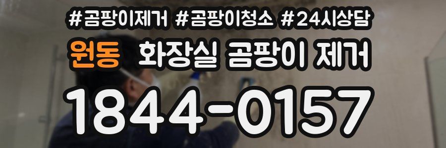 원동 화장실 곰팡이 제거