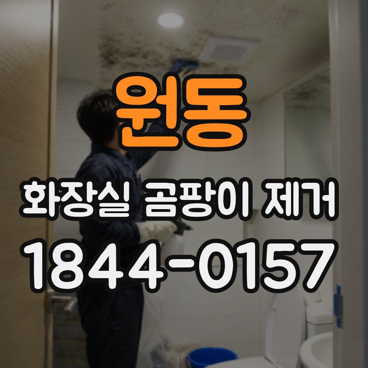 원동 화장실 곰팡이 제거