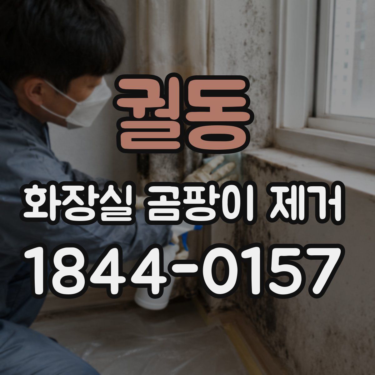 궐동 화장실 곰팡이 제거