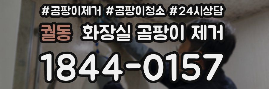 궐동 화장실 곰팡이 제거