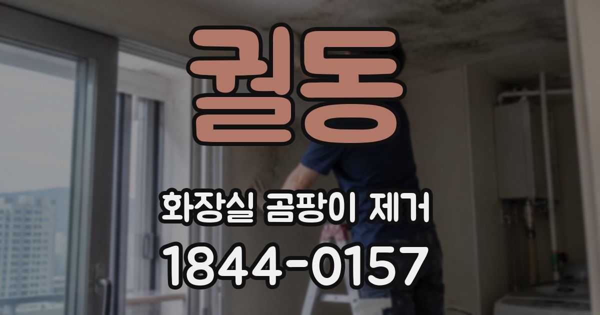 궐동 화장실 곰팡이 제거
