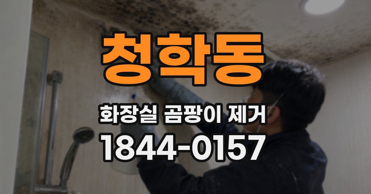 청학동 화장실 곰팡이 제거
