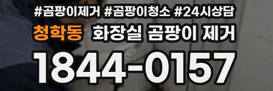 청학동 화장실 곰팡이 제거